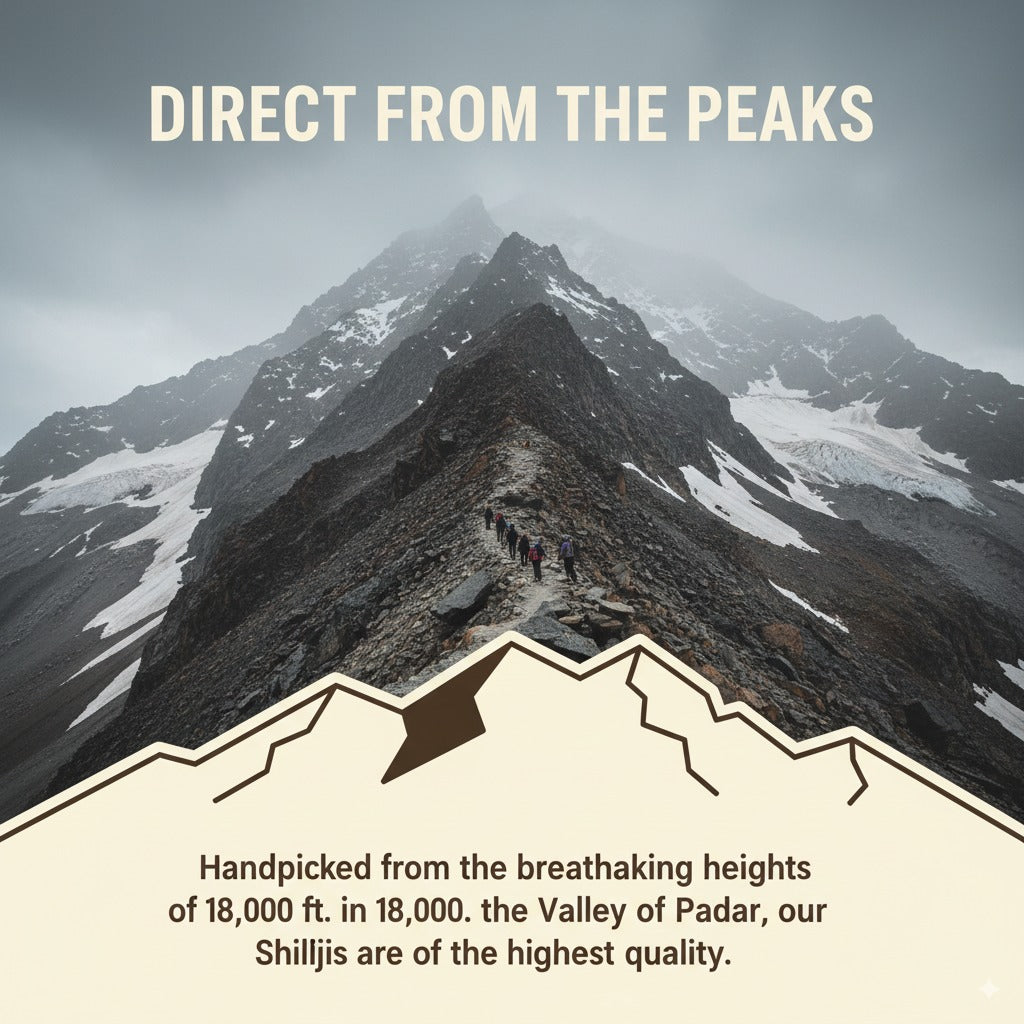 Pure Himalayan Shilajit Resin | Unlock Your Peak Performance