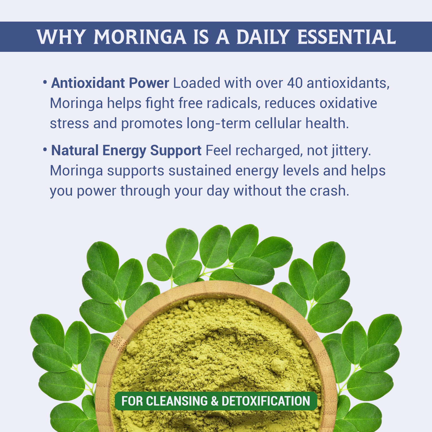 Moringa Powder