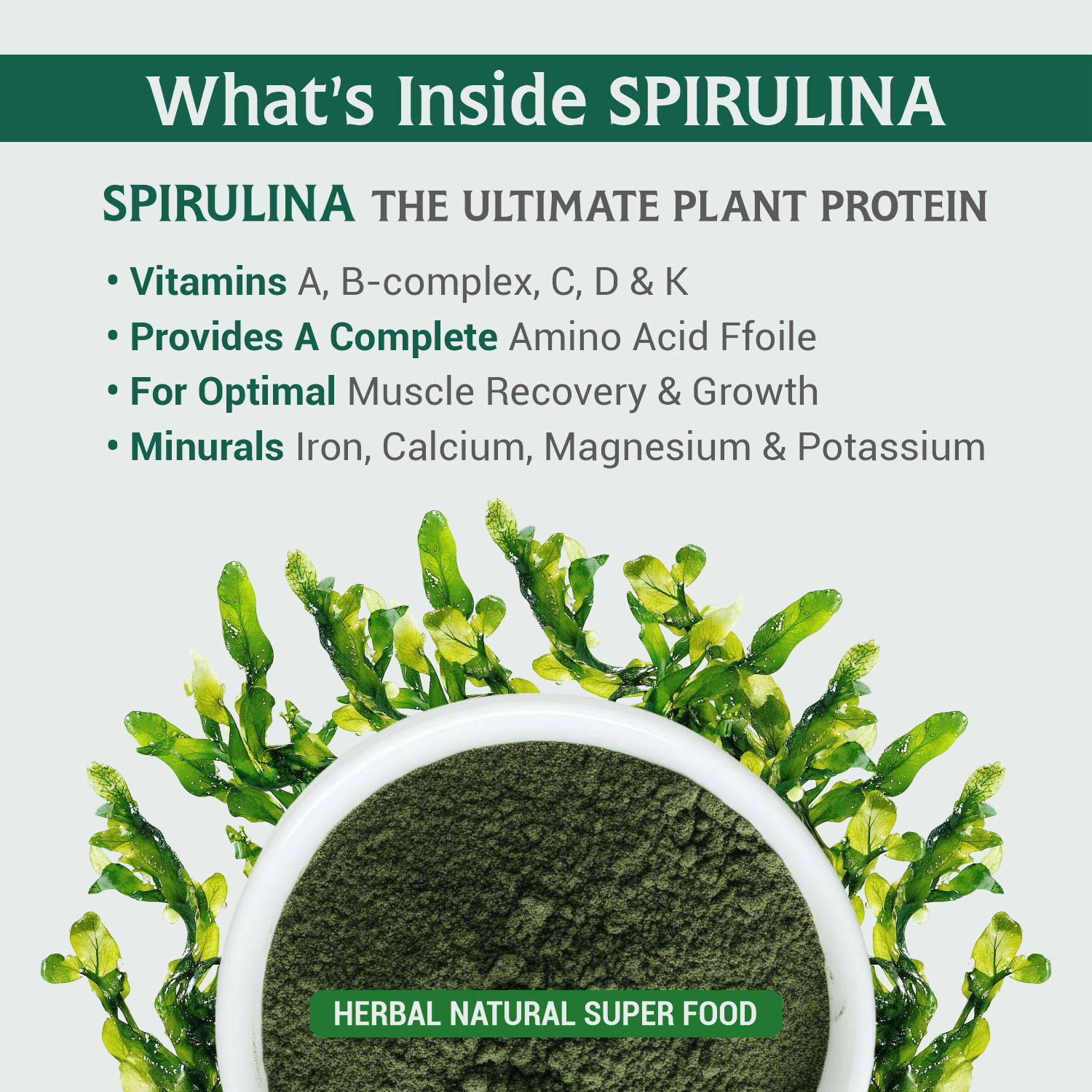 Spirulina Powder