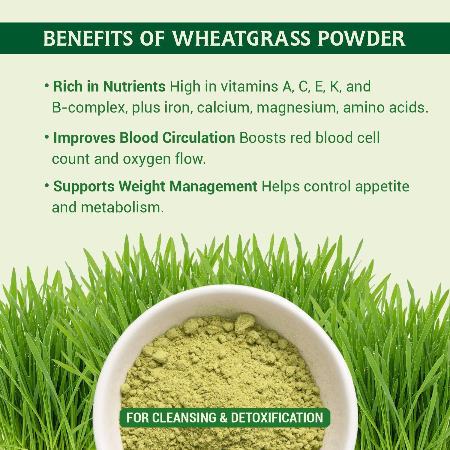 Natural Wheat grass Powder