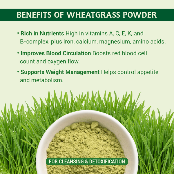 Natural Wheat grass Powder