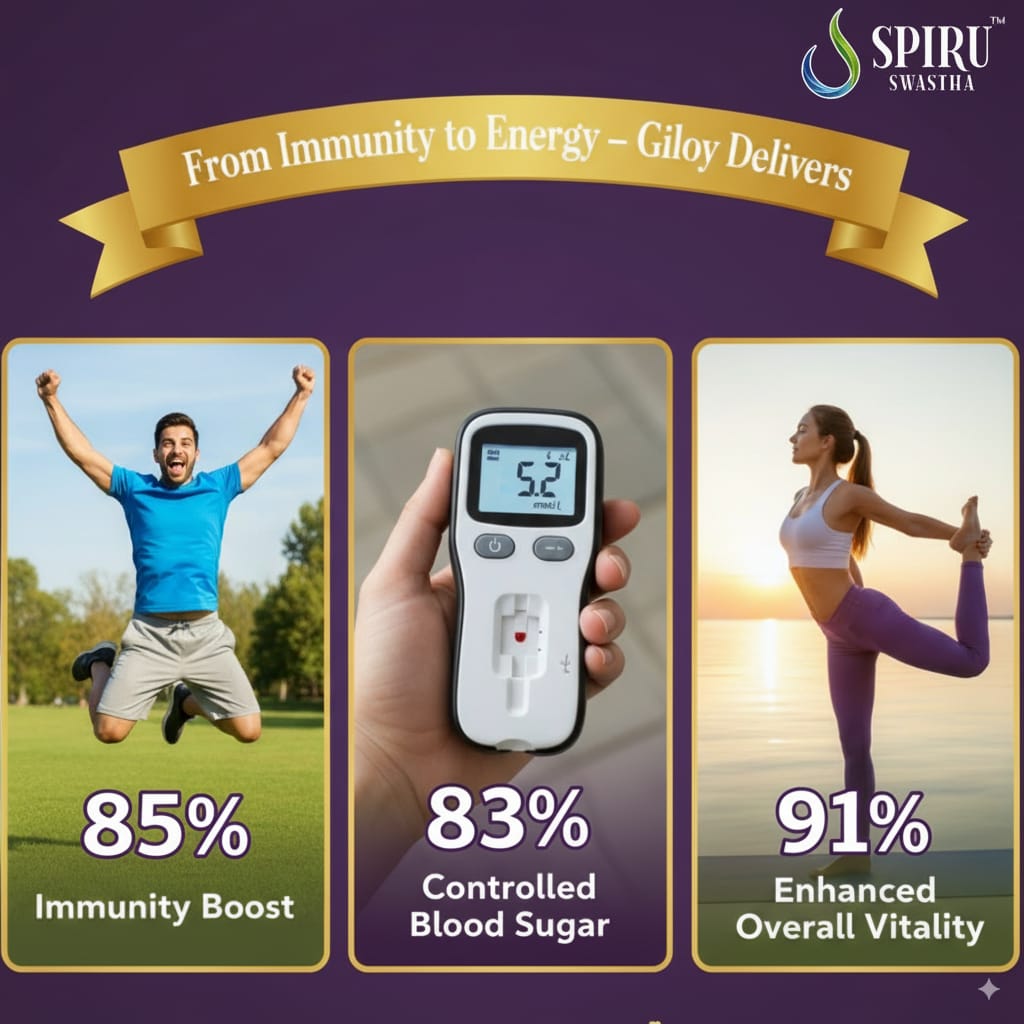 Natural Giloy Tablets