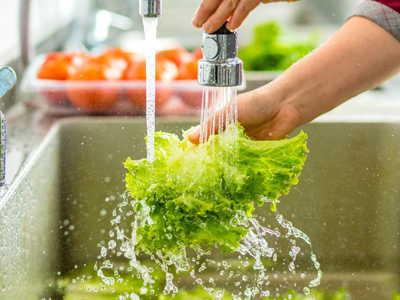 Harvesting & Washing