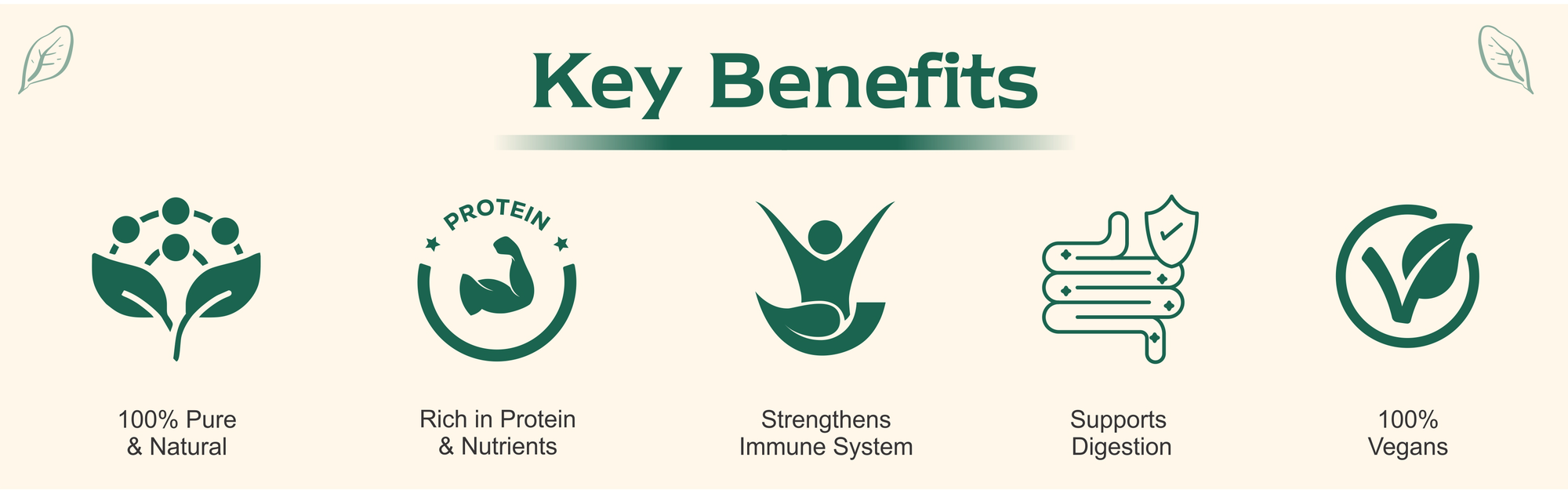 Spirulina Powder | 100% Pure Green Superfood | SRP Nutritional
